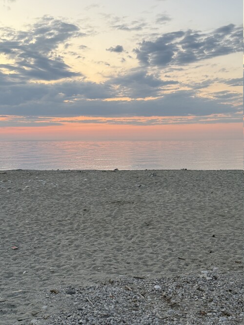IMG_2593.jpeg