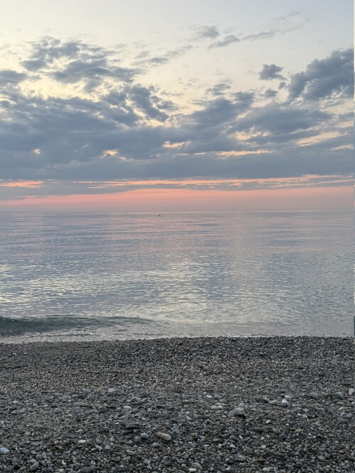 IMG_2596.jpeg