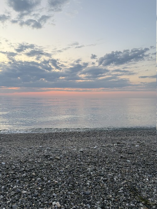 IMG_2597.jpeg